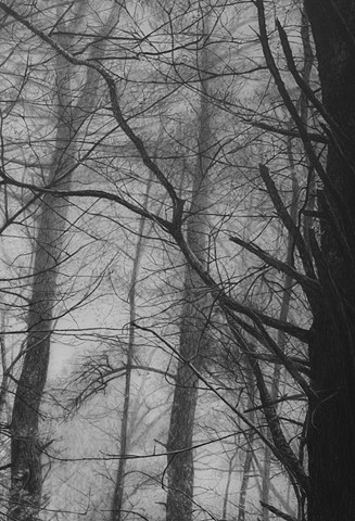 jennifer brou graphite drawing