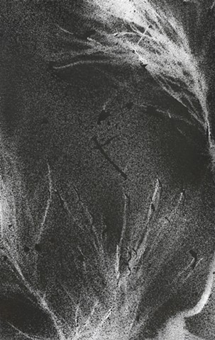 Jennifer Brou ink drawings artist