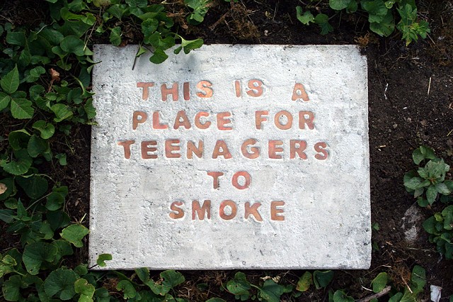 Plaque for Teenage Deviants