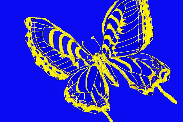 Yellow in Blue Lace Butterfly - Faith 01