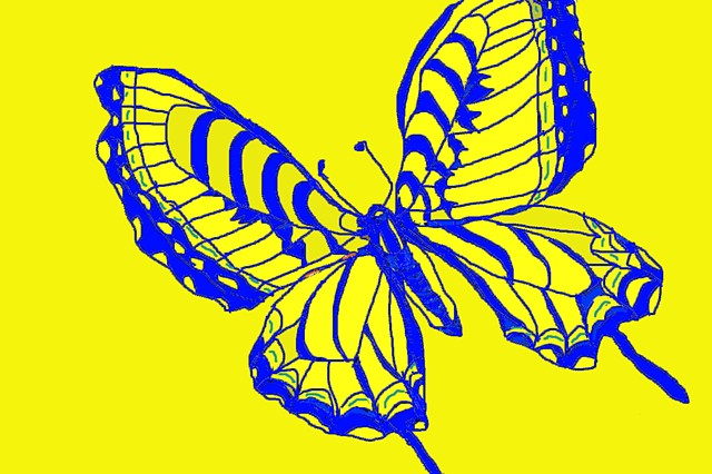 Blue in Yellow Lace Butterfly - Faith 02