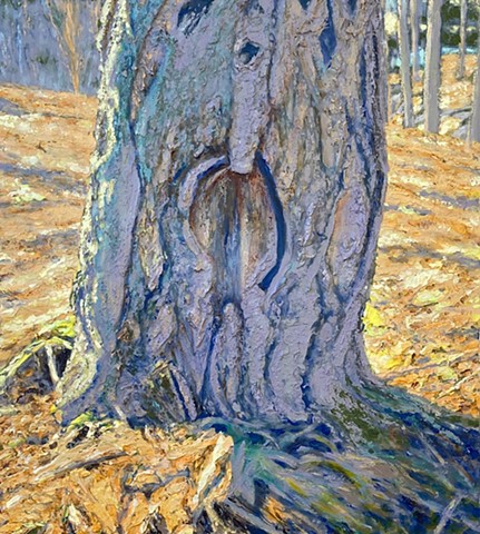 Tree Portraits 1999-2023