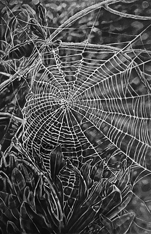 Web IV