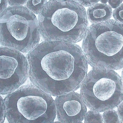 Cells II detail