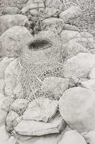 Nest on Rocks