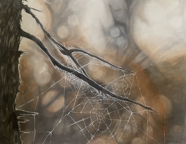 Web VIII