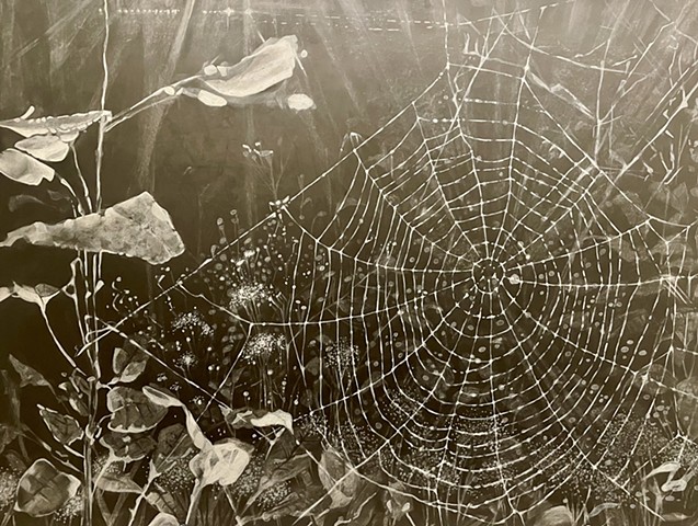 Drawings from Nature