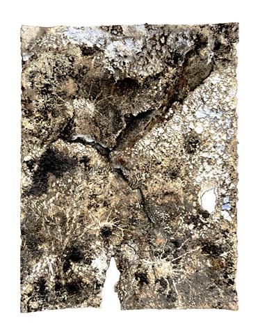 Paper #1 White Oaks Savanna