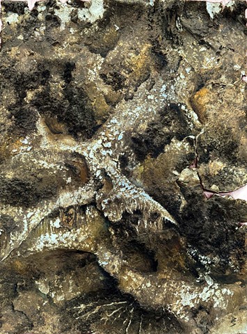 Paper #2 White Oaks Savanna