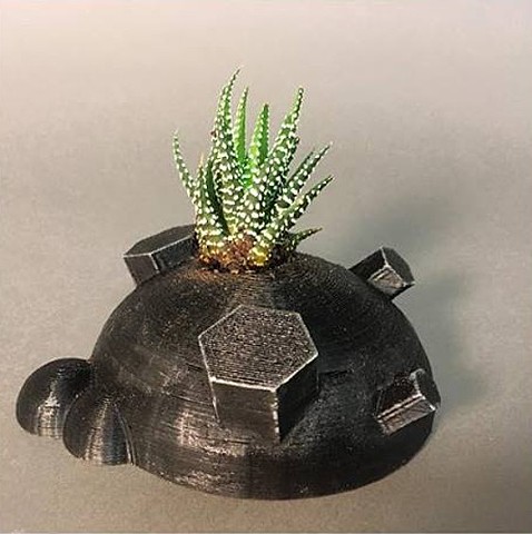 Printed and Planted