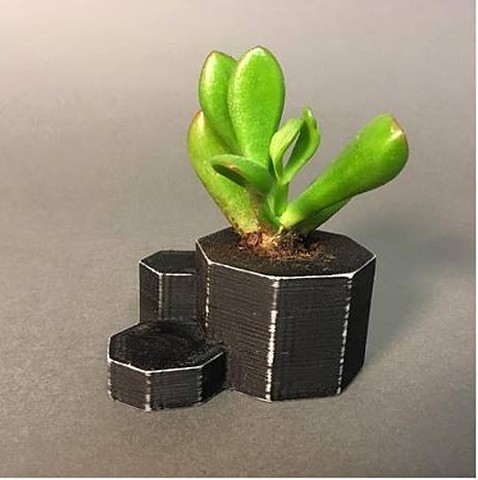 Printed and Planted #3