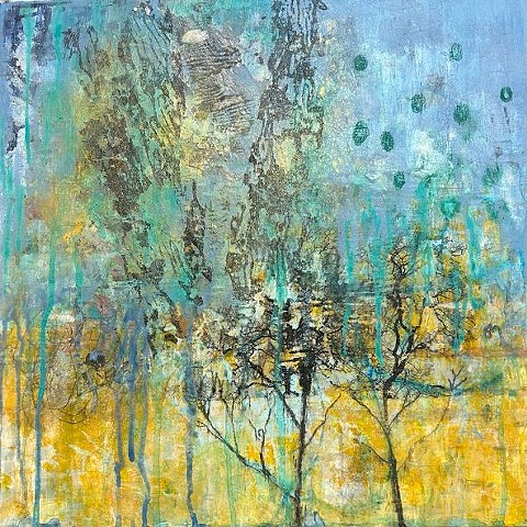 A Walk in the Beech Forest