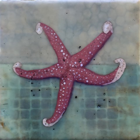 SOLD Sea Life: Starfish #1