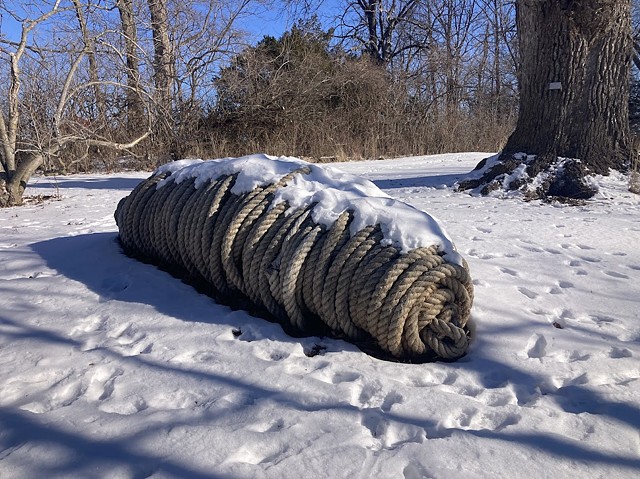 Photo by Alex Mills, Klehm Arboretum