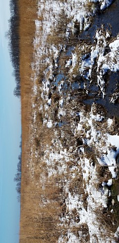 Northeastern Illinois Winter Prairie 4