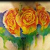 Watercolor Roses Fixer-upper