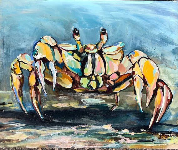 Cayo Costa Ghost Crab