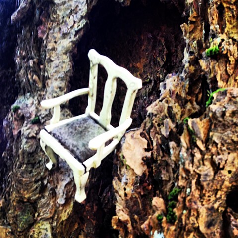 Annie Aube Little Chair Wildwood Trail Portland Oregon