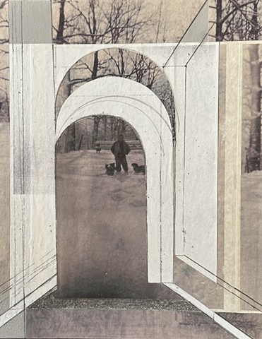 A Glimpse into the Past: The Dogs and Me