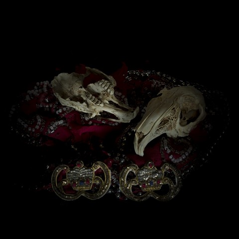 Angela Casey artist photography art gallery vanitas gothic tasmanian australia skull