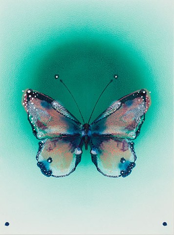 butterfly sommerfugl maleri af marianne grønnow