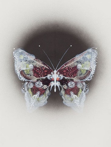 butterfly sommerfugl maleri af marianne grønnow