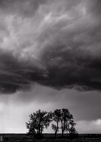 Storm Over Trees, Greybull, Wyoming