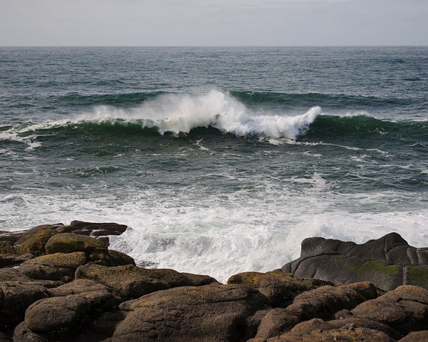 Wave, Oregon Coast