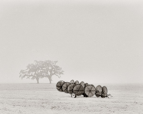 Harrow and Oaks, Morgan Hill, California