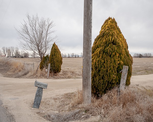 Arborvitae, Nampa, Idaho