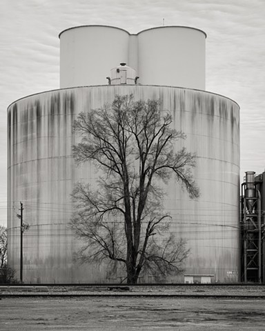 Molasses Tanks with Tree