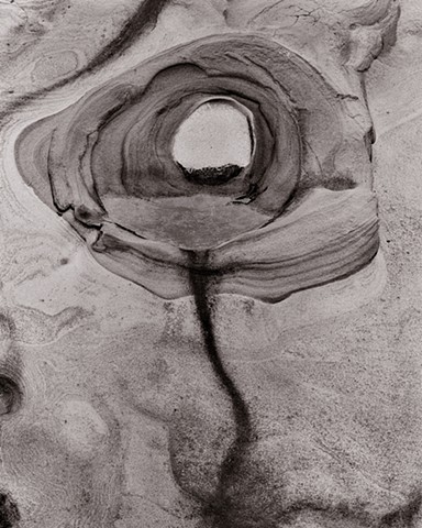 Weeping Tide Pool, Point Lobos, California