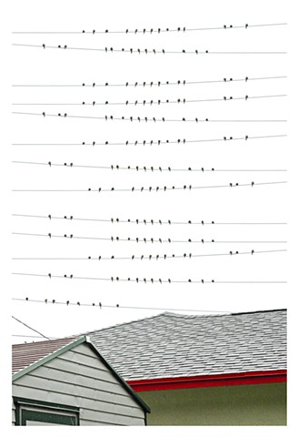 Chorus Composition #3 (Netherby)