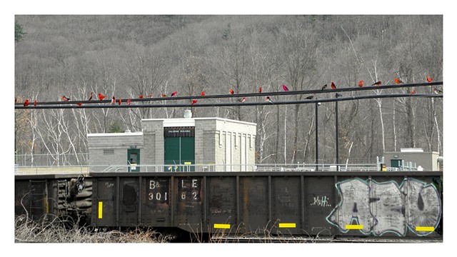 Chorus Composition #10 ( Chlorine Building -graffitist unknown) 