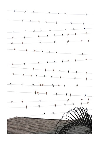 Chorus Composition #5 (Palma)