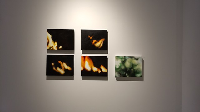 Lighting Fires (installation view)
