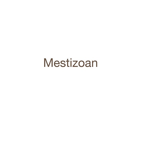 Mestizoan