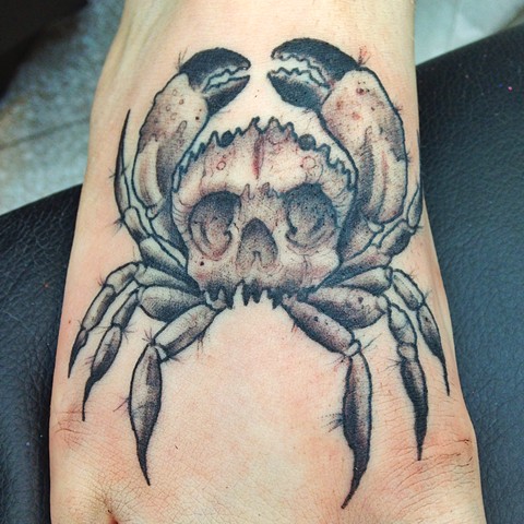 crab skull