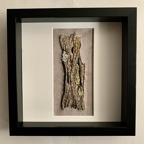Tree Trunk with Lichen (w/frame)