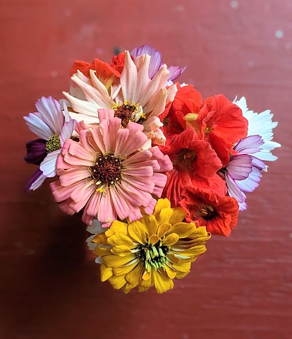 Zinnias + Cosmos