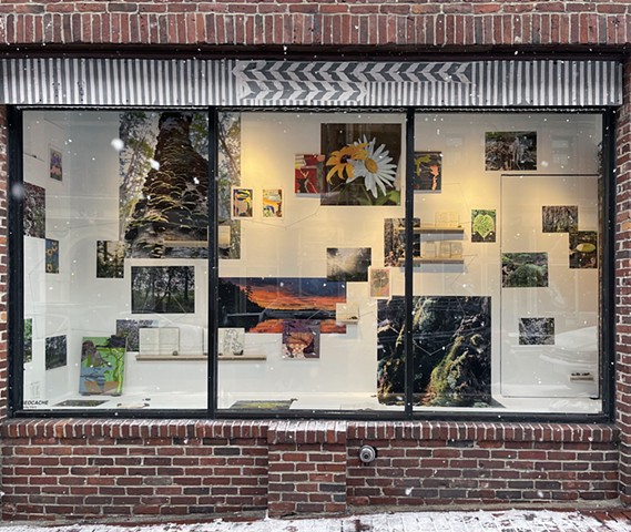 An installation in the Window Gallery at SPACE. Documentation by Carolyn Wachnicki.