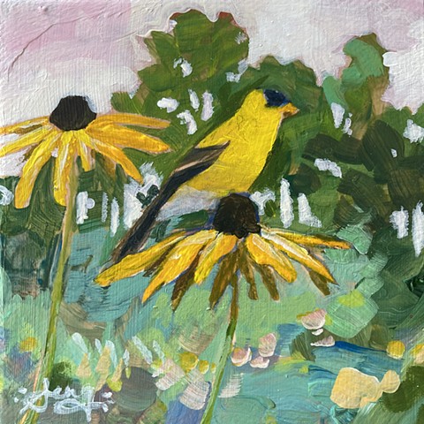 Goldfinch and Blackeye Susan