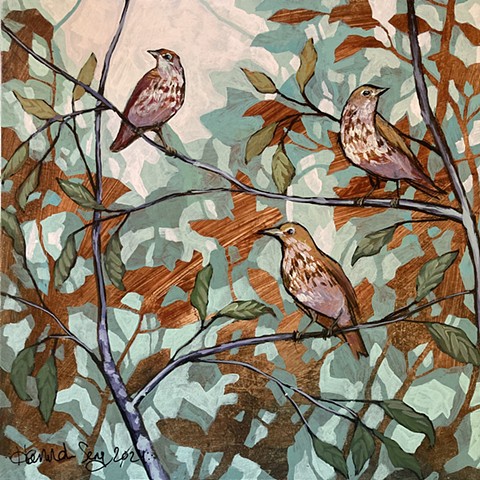 Wood Thrushes