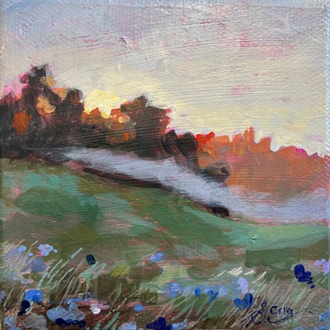 Meadow Sunrise