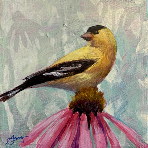 Goldfinch 1 of 3