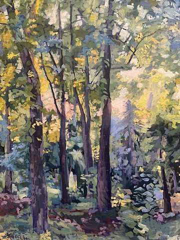 Woodland Sunrise