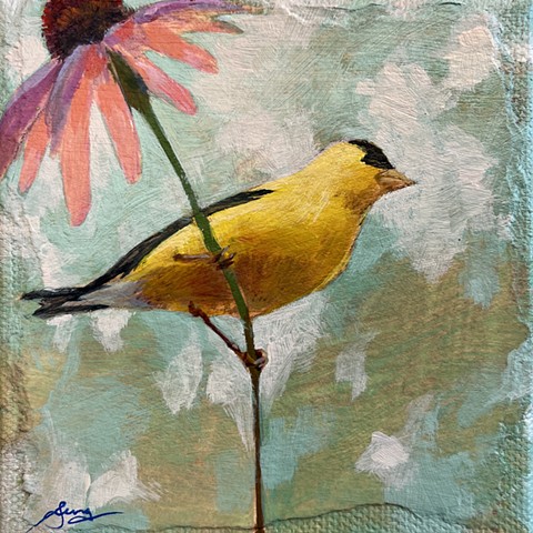 Goldfinch 2 of 3