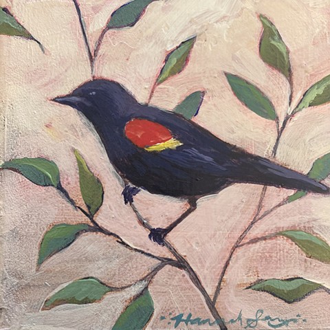 Red Winged Blackbird