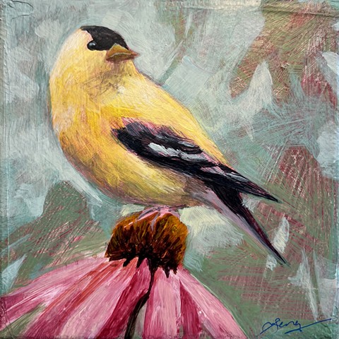 Goldfinch 3 of 3