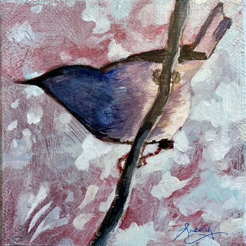 Wren